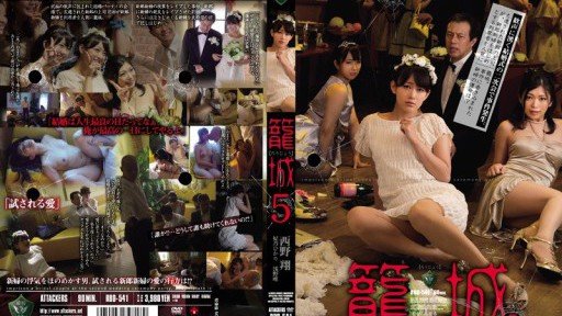  Mẹ Kế Của Tôi Sho Nishino Is Bound To Make An Impact In Your Business